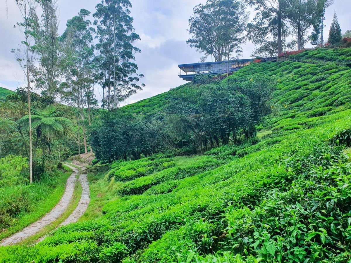 Ferienwohnung Mossy Forest Family Retreat, Kea Farm Brinchang Exterior foto